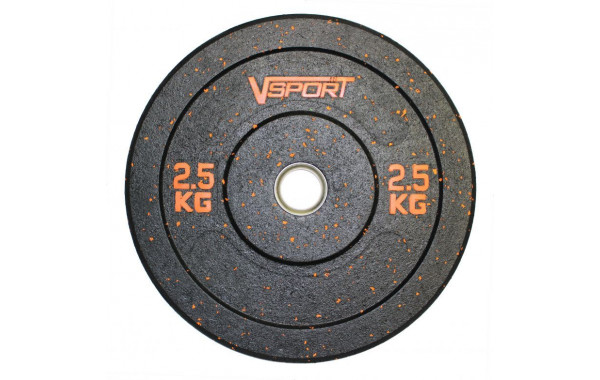 Диск бамперный V-Sport черный 2,5 кг FTX-1037-2.5 600_380