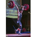 Штанга DHS Olympic 190 кг, для соревнований, аттестованная IWF 75_75