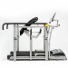 Беговая дорожка Spirit Fitness LW650 75_75