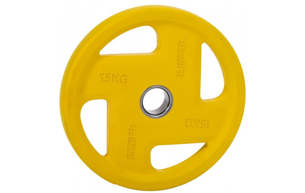 Диск обрезиненный цветной Fassion D51мм, 15 кг Profi-Fit 600_380