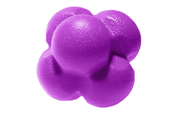 Мяч для развития реакции Sportex Reaction Ball M(5,5см) REB-305 Фиолетовый 600_380