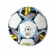 Мяч футбольный RGX RGX-FB-1724 р.5 75_75