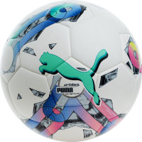Мяч футбольный Puma Orbita 5 TB Hardground 08378201 р.5