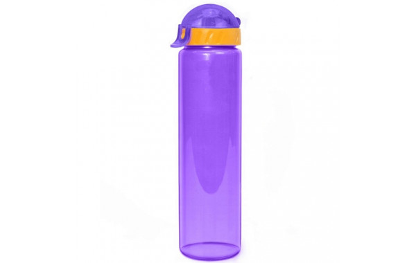Бутылка для воды LIFESTYLE со шнурком, 500 ml., straight, прозрачно/фиолетовый КК0158 600_380