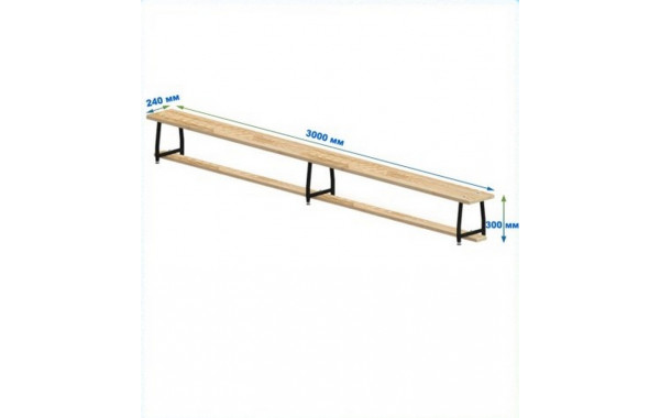 Скамейка гимнастическая 3000мм (щит.сосна) ножки метал с РО Dinamika 600_380