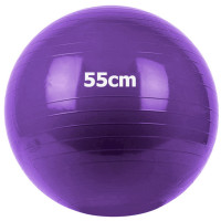 Мяч гимнастический Gum Ball d55 см Sportex GM-55-4 фиолетовый