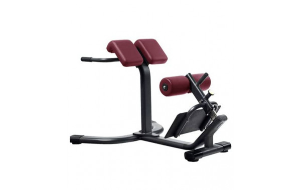 Гиперэкстензия 45 градусов Kraft Fitness KFABM 600_380