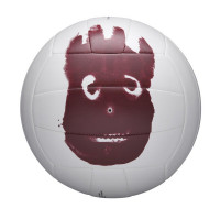 Мяч волейбольный Wilson Castaway WTH4615XDEF р. 5