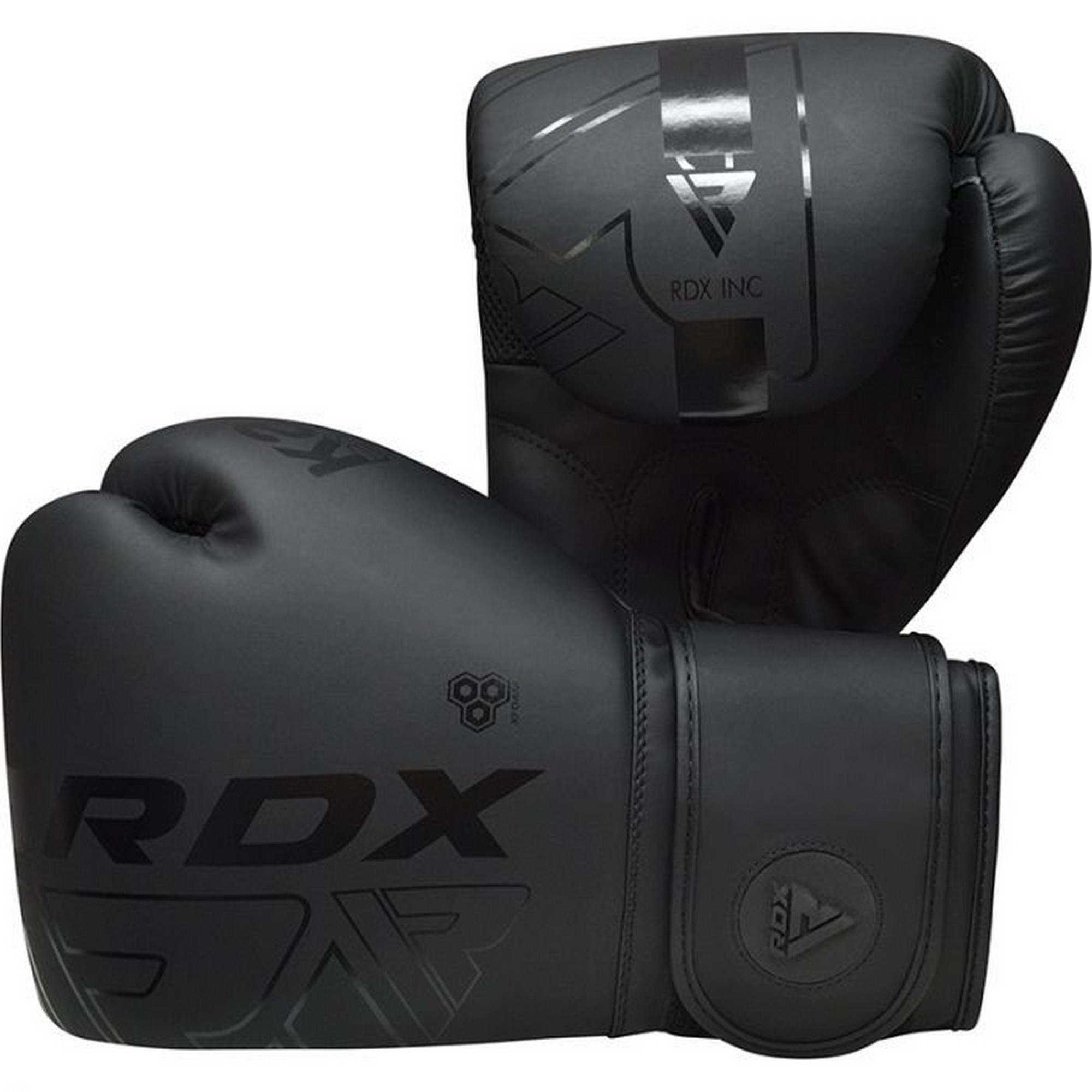 Перчатки тренировочные RDX BGR-F6MB-8OZ черный матовый 2000_2000