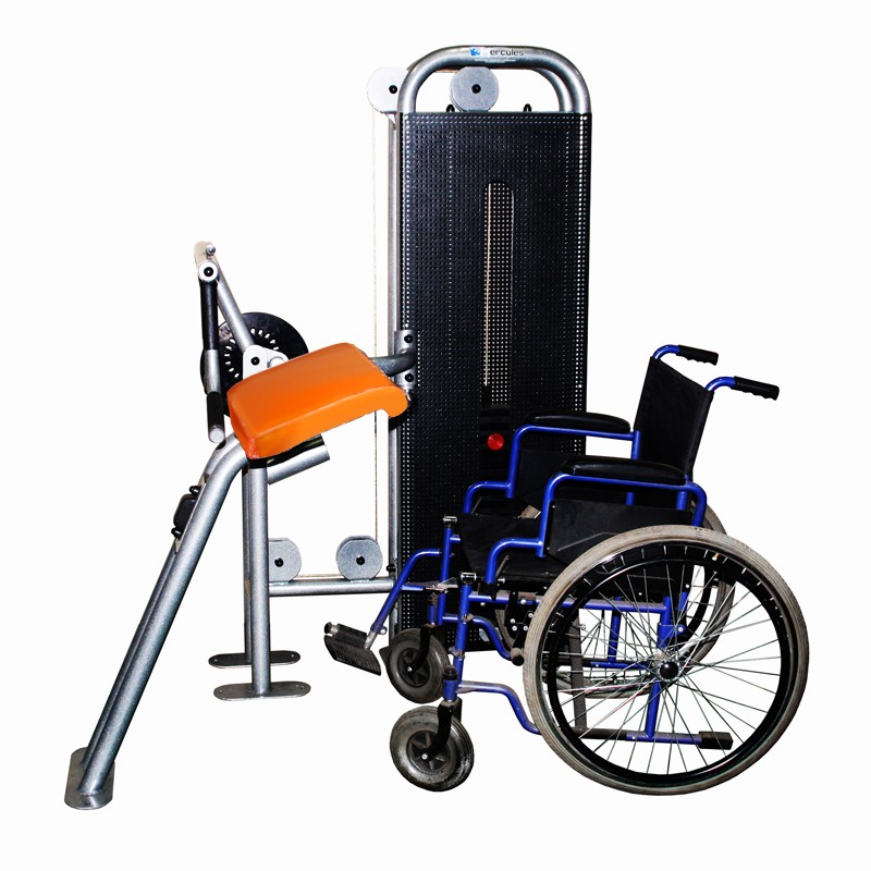Бицепс-машина для инвалидов-колясочников Hercules А-110i 4086 800_800