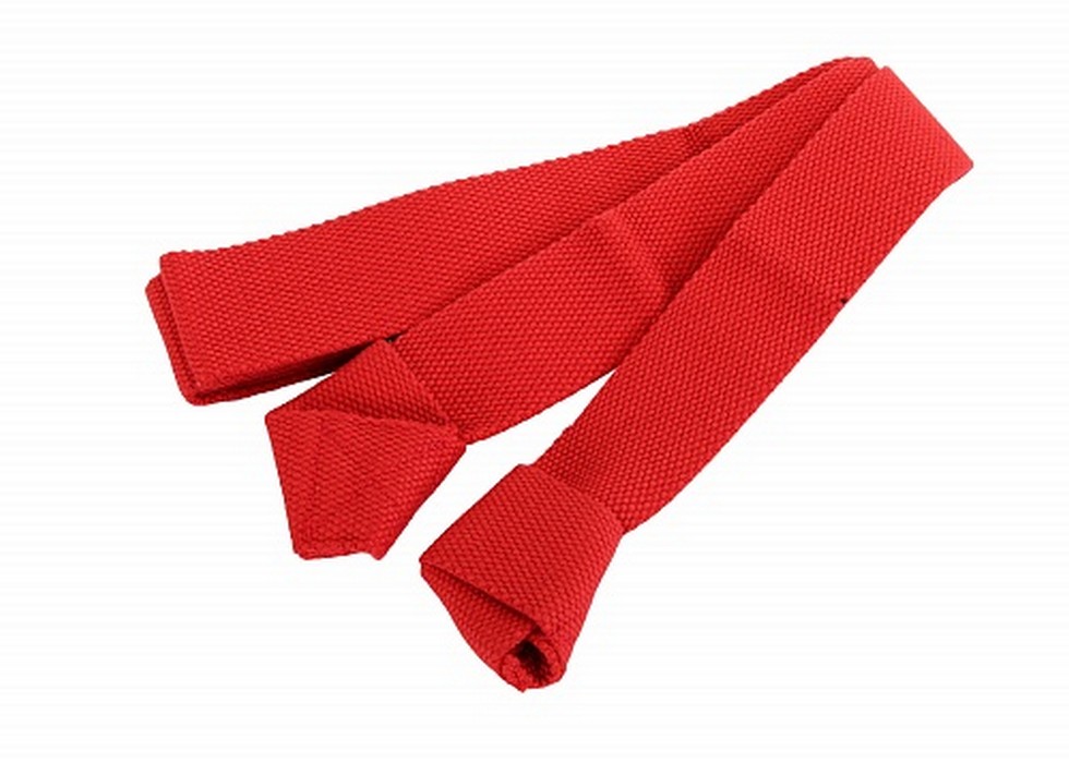 Ремешок для переноски ковриков и валиков Larsen СS 160 x 3,8 см красный (хлопок) 980_700