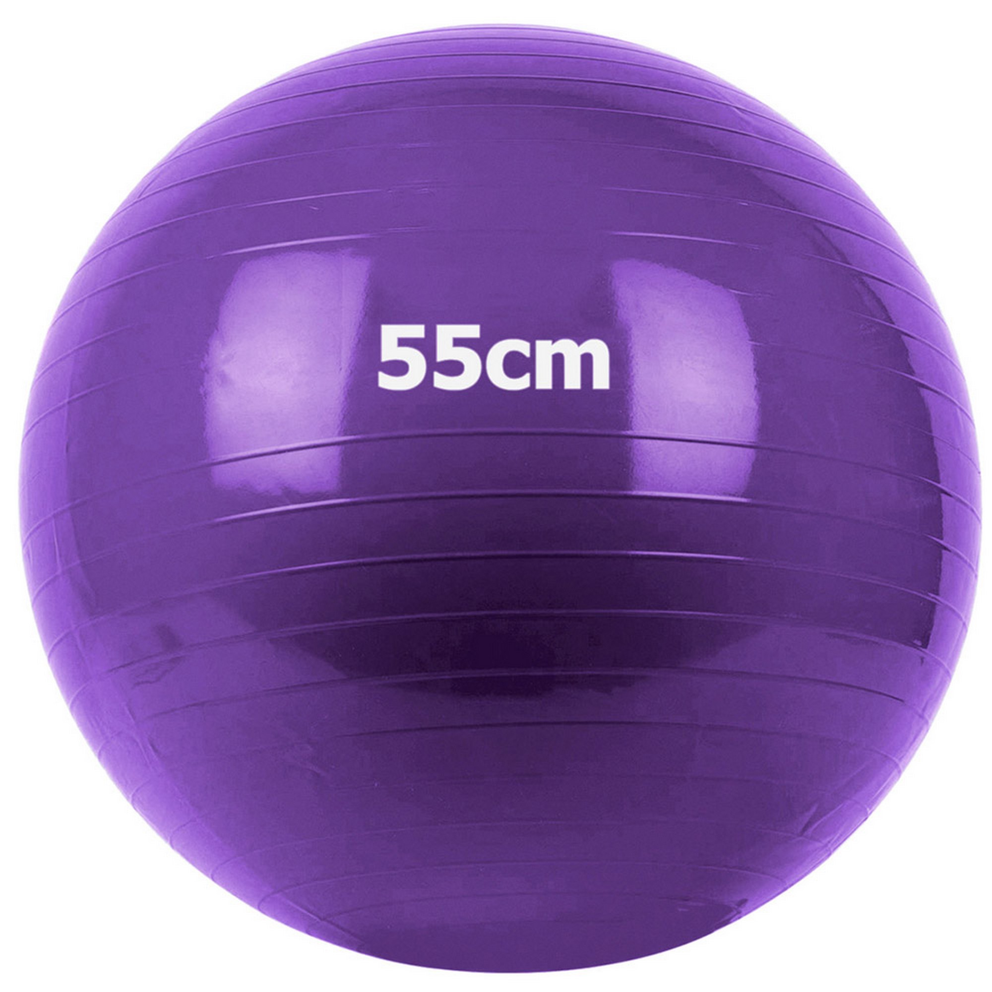 Мяч гимнастический Gum Ball d55 см Sportex GM-55-4 фиолетовый 2000_2000
