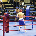 Боксерский ринг на помосте 33025 120_120