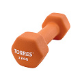 Гантель Torres 2 кг PL55012 120_120