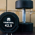 Гантель EVO 42,5кг полиуретановая YouSteel 120_120