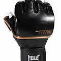 Перчатки тренировочные Everlast Titan Grappling SM P00003111 черный 120_120